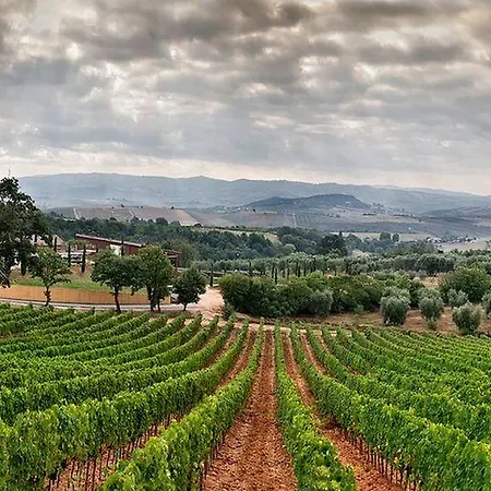 Terenzi Hospitality & Wine Agroturismo Scansano
